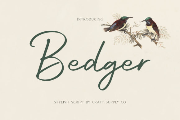 Bedger Font: A Handwritten Typeface for Clear Campaigns