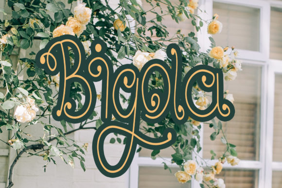 Bigola Typeface: A Graceful Script for Editorial Design