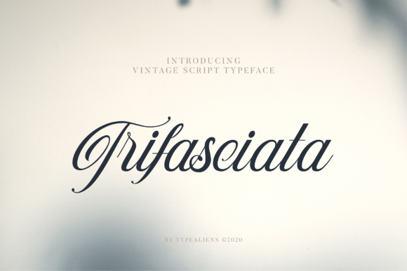 Trifasciata: A Handwritten Font for Bold Campaigns